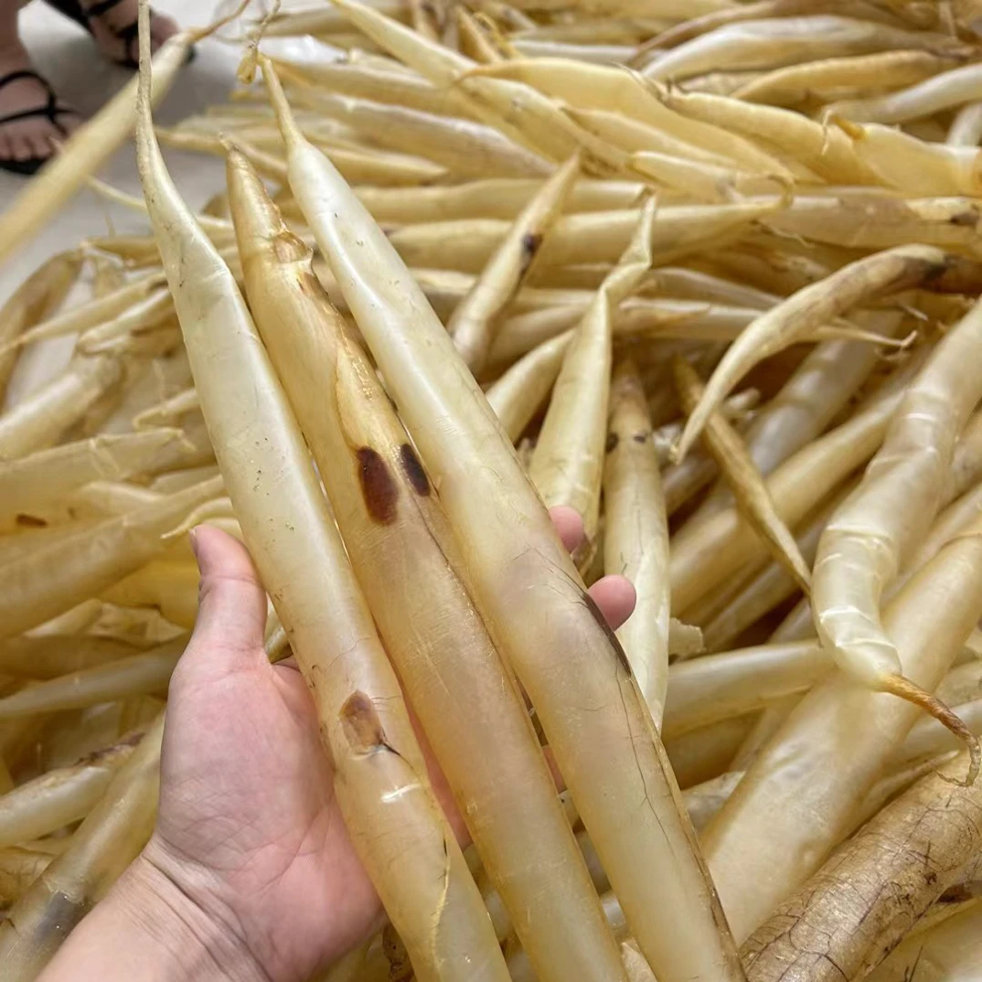 超高品质38头黄金厚肉鳗鱼胶