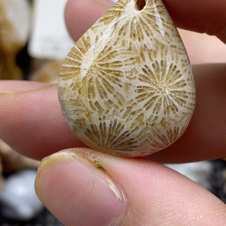 颈饰未镶嵌硅化珊瑚（珊瑚玉）小
