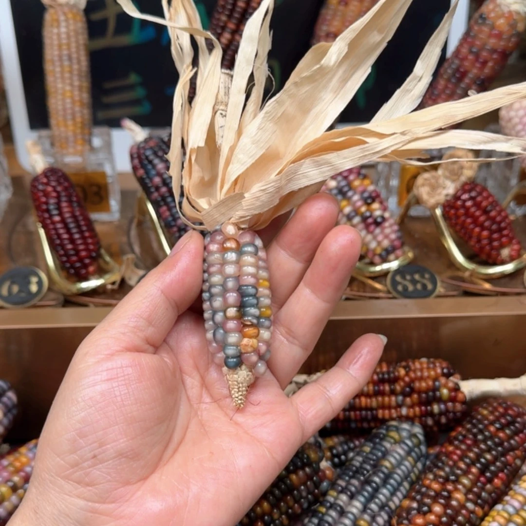 柏香籽/百香籽吊坠用****2