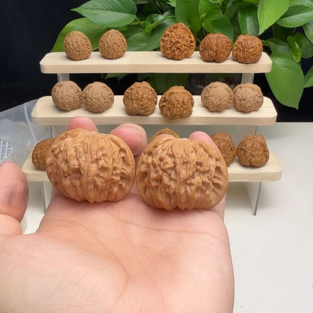 半***咖全品磨盘42/38/33