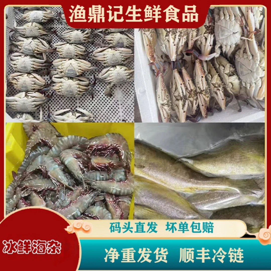 江苏吕四野生海杂鱼码头直供 江浙沪皖顺丰急冻发货 坏单包赔