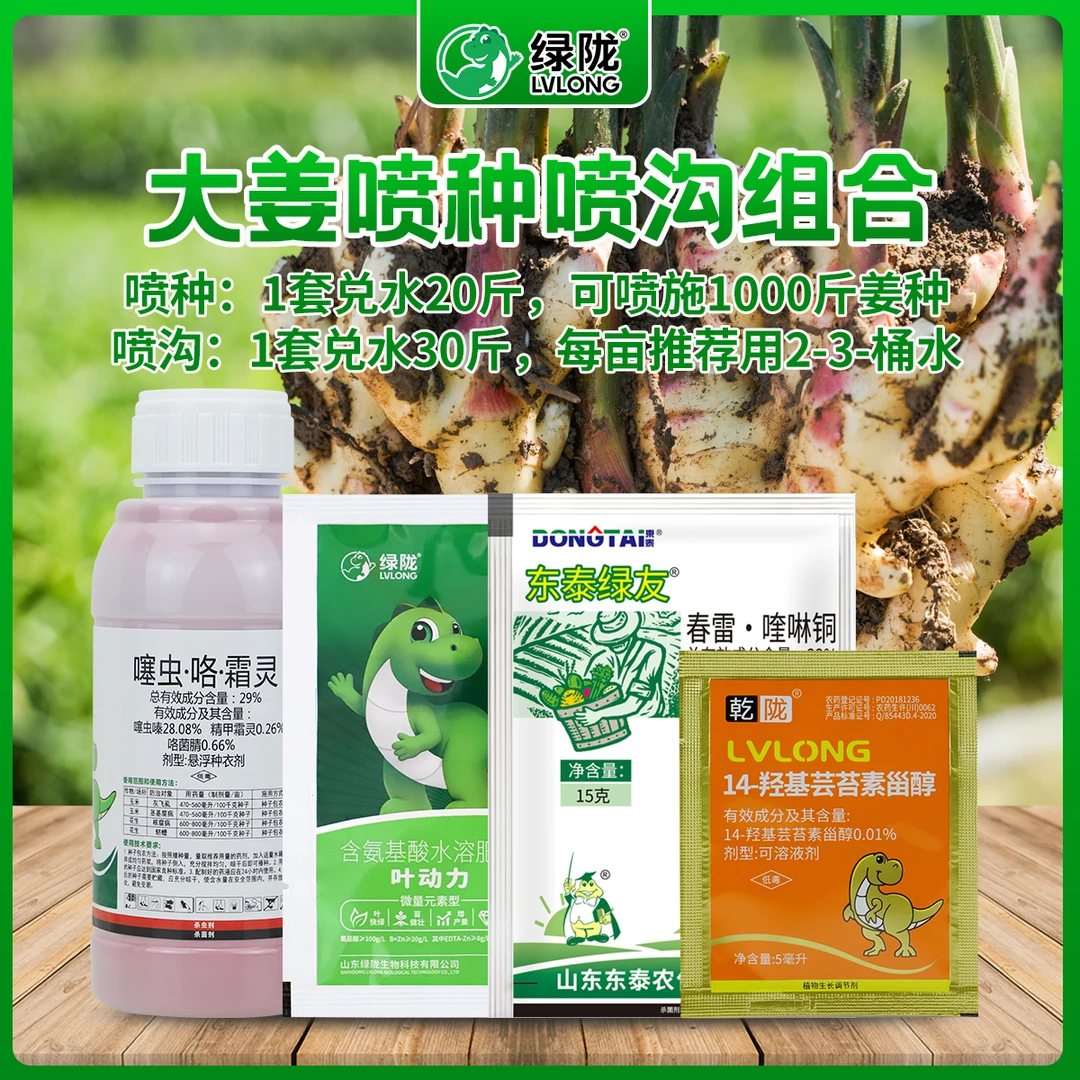 大姜喷种姜沟组合促装芽护姜种喷沟沟底套餐