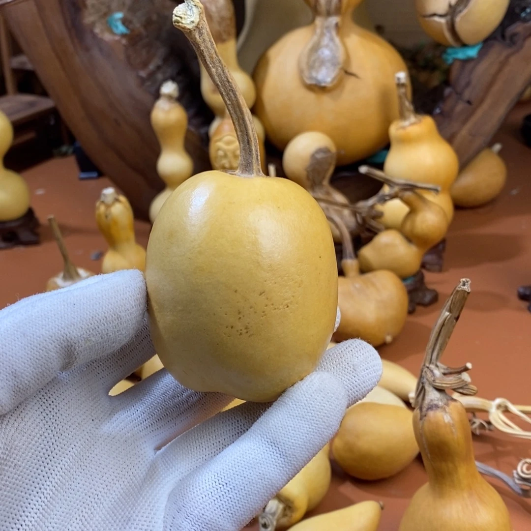 皮***卡教练教练教练啦啊教练