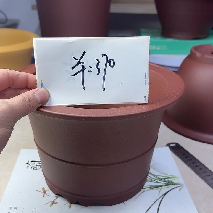 春秋花盆精品兰盆