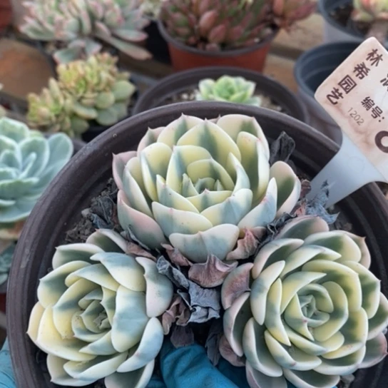 886一一一一一一一一一