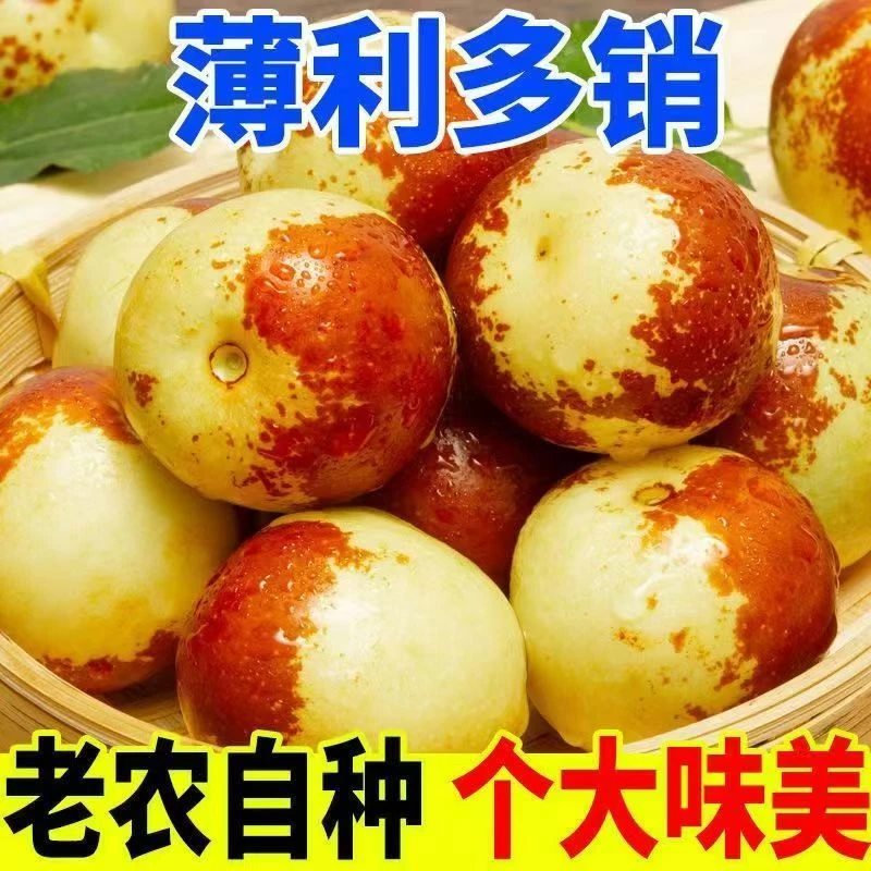 现摘现发冬枣应季新鲜水果脆甜多汁当季新枣707-白