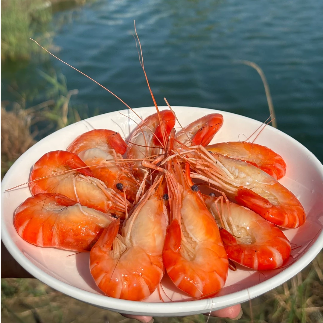 2025年新鲜熟冻软壳罗氏沼虾草虾规格一斤16-20条整箱净重7.5斤