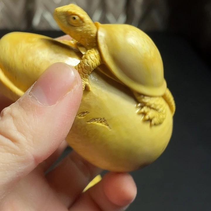 随***动香榧木今天晚上你好大哥你好