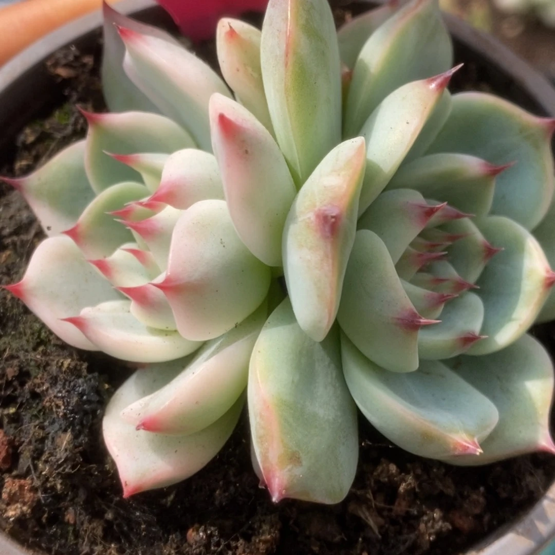 640锦锦锦锦锦锦