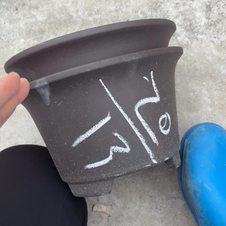 紫砂花盆紫砂的花