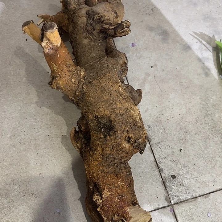 拍品大福利大福利大福利