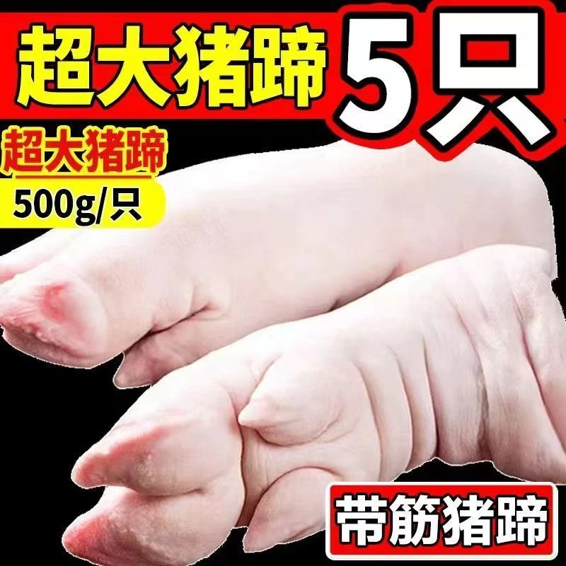 新鲜大号猪前蹄猪爪红烧猪手带筋前蹄家用食材批发