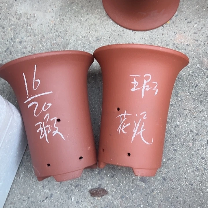 学生真实真实真实