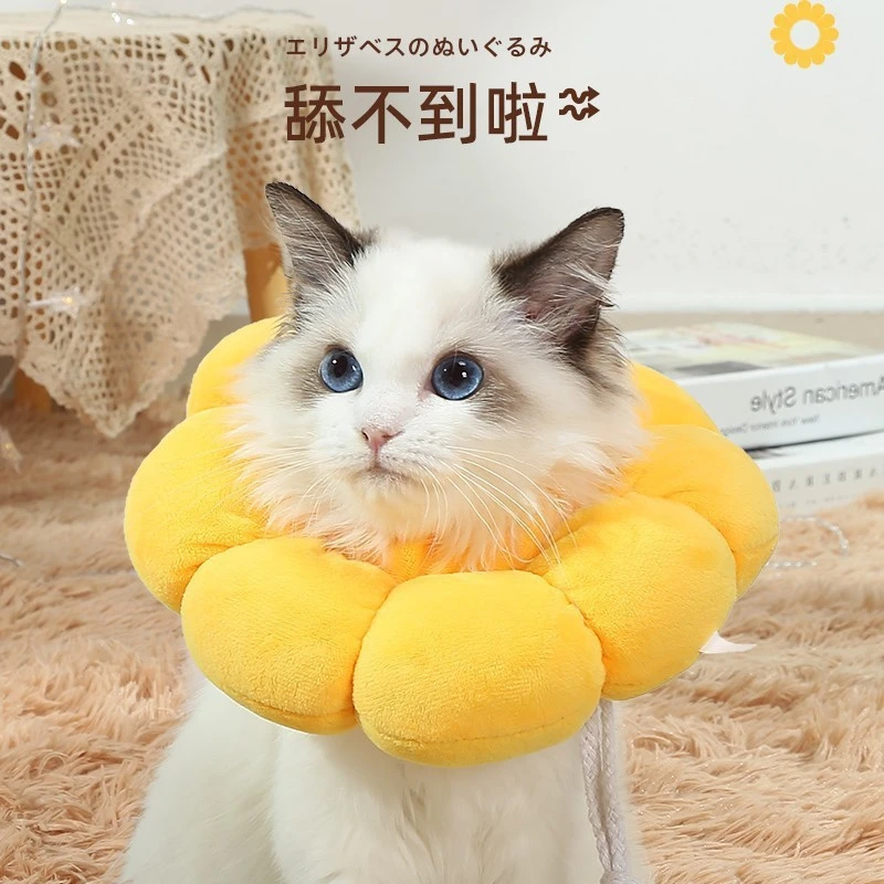 猫咪伊丽莎白圈可调节脖套绝育防舔防抓咬猫咪宠物用品