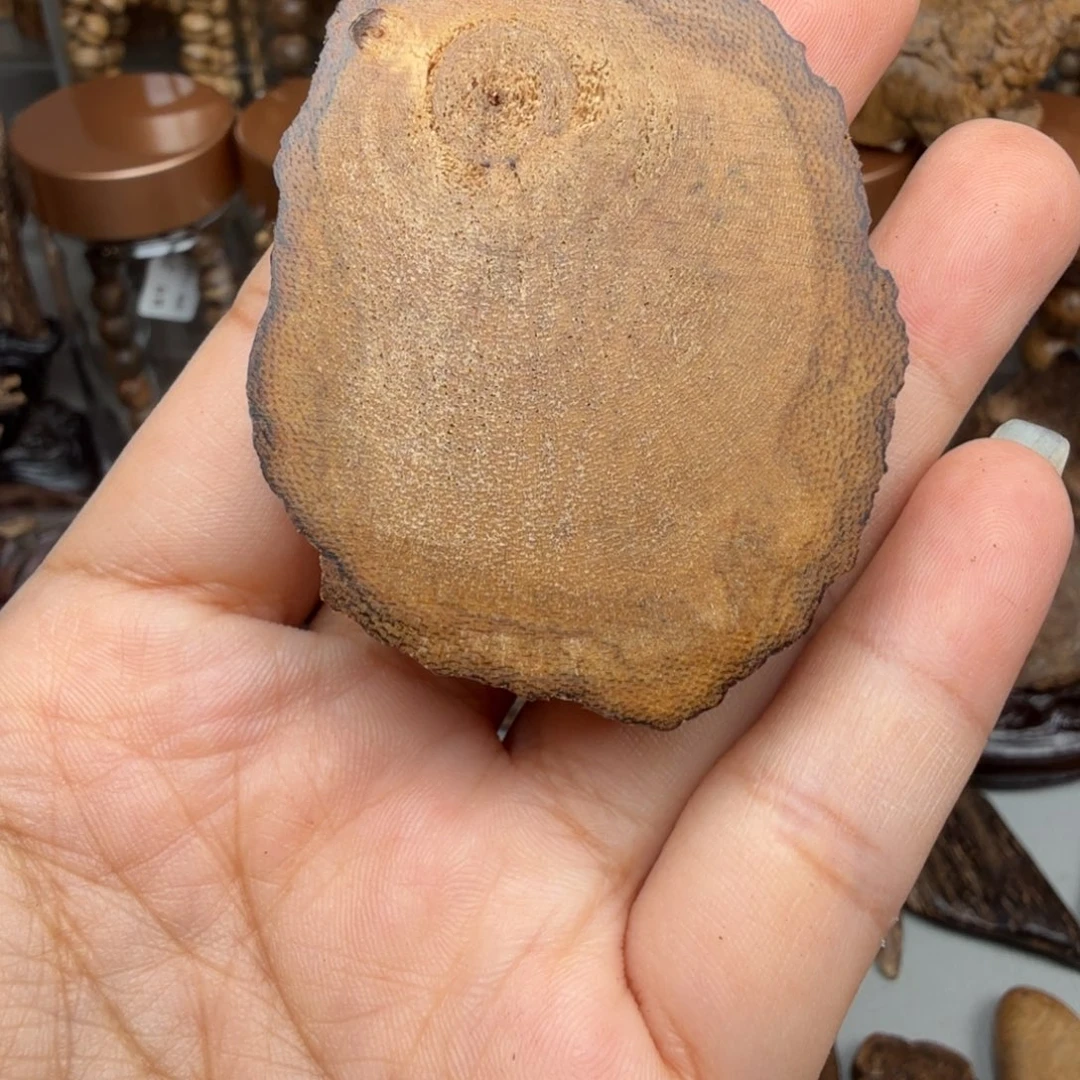 沉香碎屑沉香达拉干随形 9.8 克