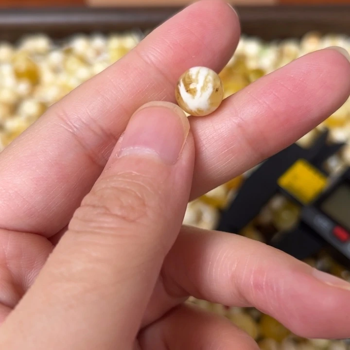蜜蜡未镶嵌裸石9.7mm一个