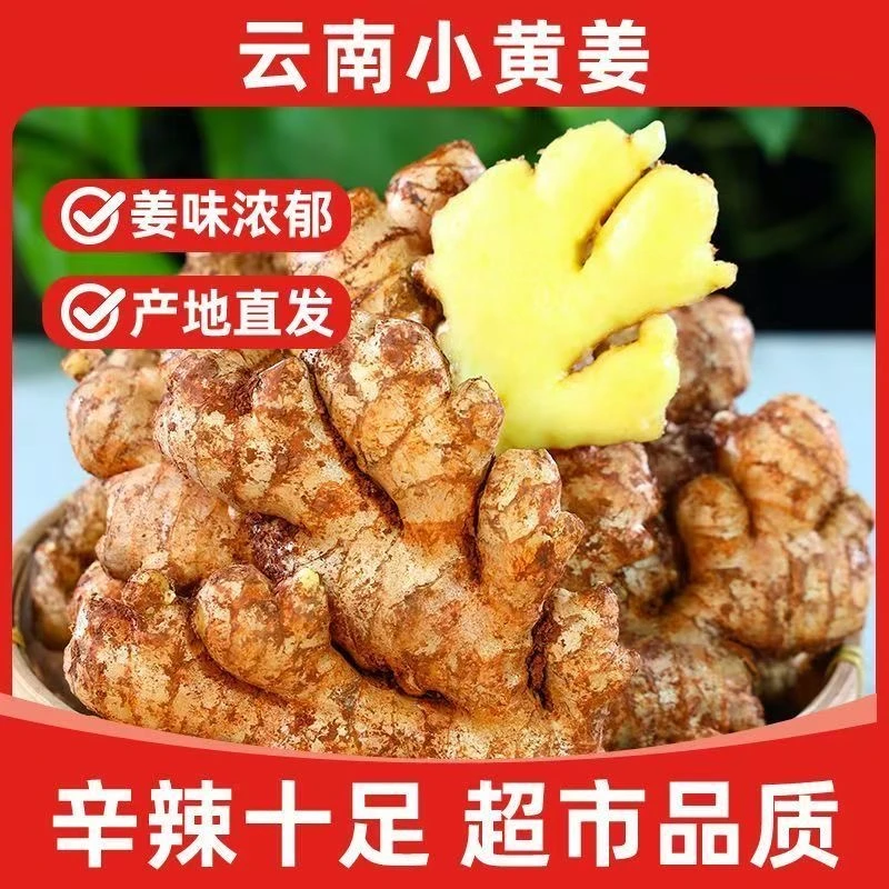 （福利老姜）云南高山小黄姜老姜生姜农家自种现挖3斤5斤9斤批发