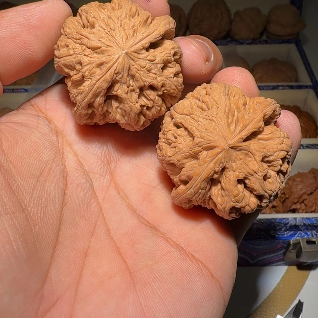 文玩核桃吊坠粗筋