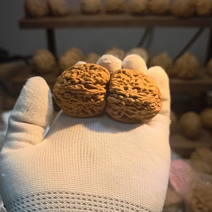 涿鹿南疆石石蚂蚁纹满肉