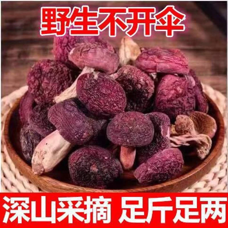 野生红菇小朵不开伞红菇干货新鲜红蘑菇煲汤野生红菌干红菇