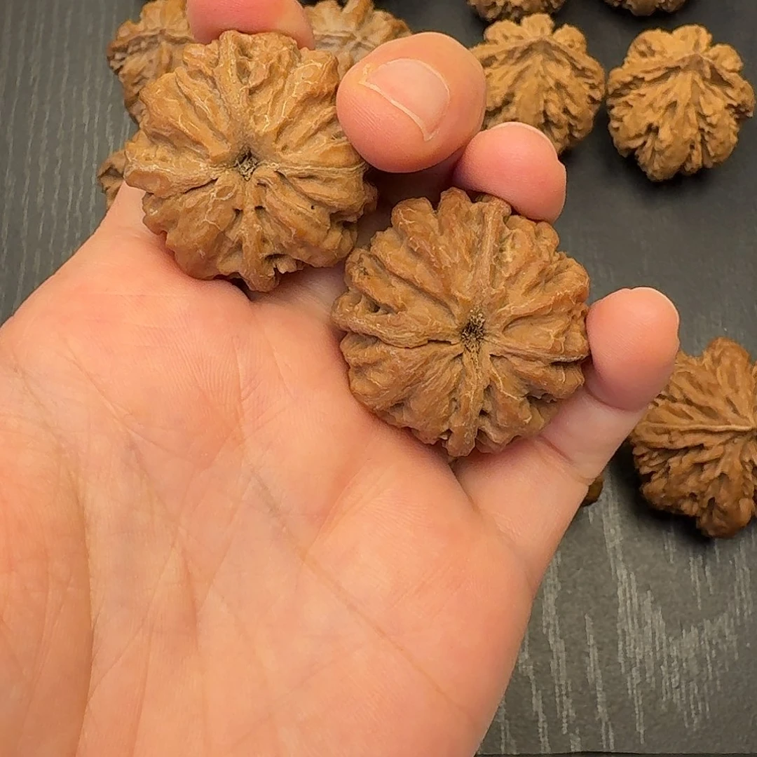 杨***～核桃突突突突我来咯