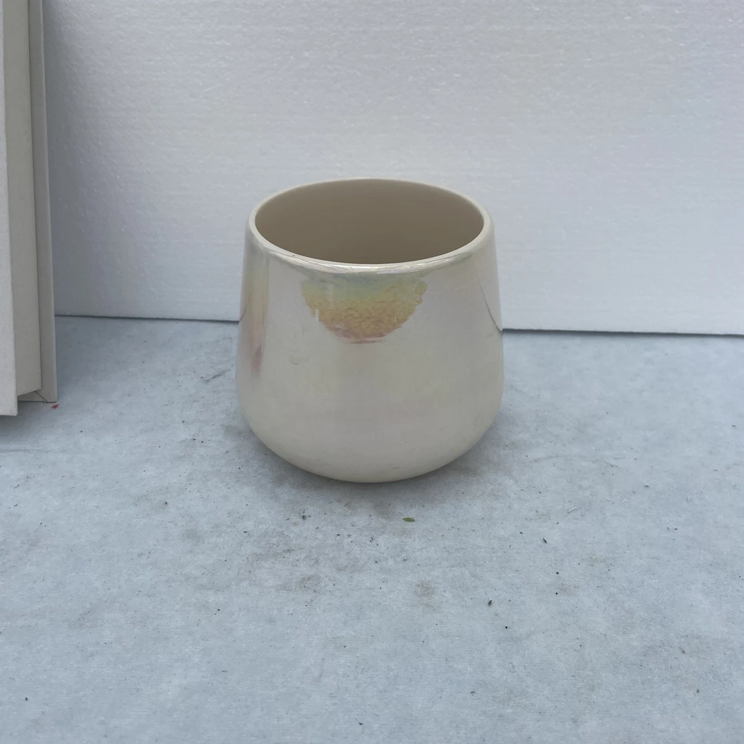 蝴蝶兰 高温烧制 七彩陶瓷盆