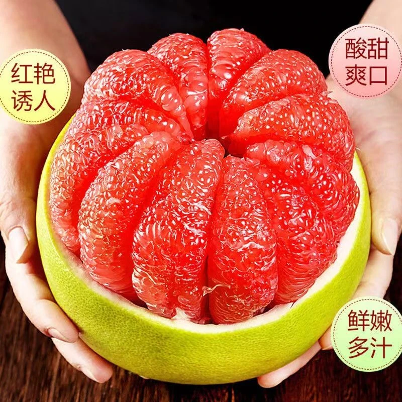 新鲜现摘当季新鲜青皮红心蜜柚皮薄肉厚多汁清甜可口湖北宜昌