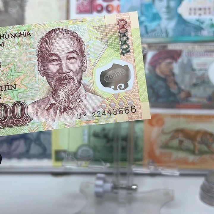 陈***川纸币越南钱币666全新