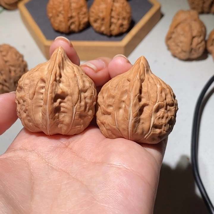 大叶紫檀（黑酸枝木类）龟甲文