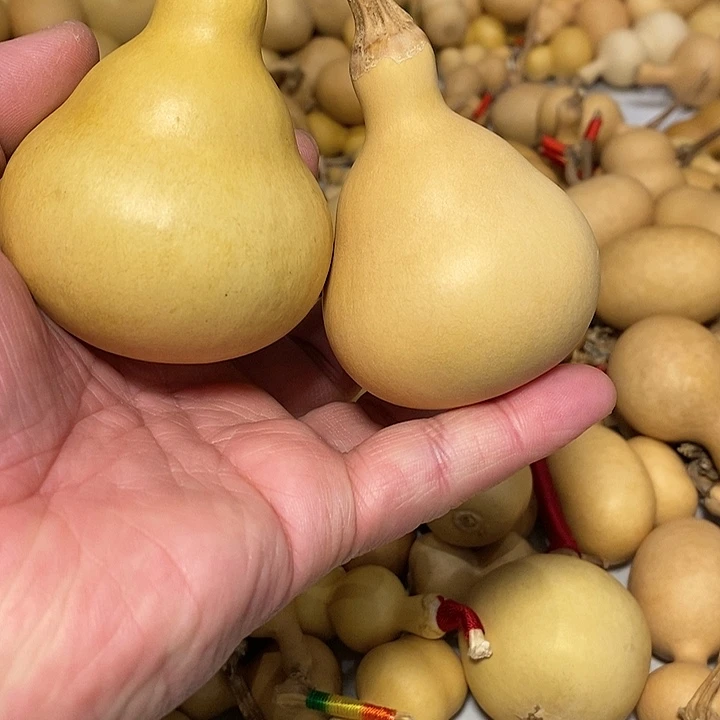 小*.精品葫芦手把葫芦66