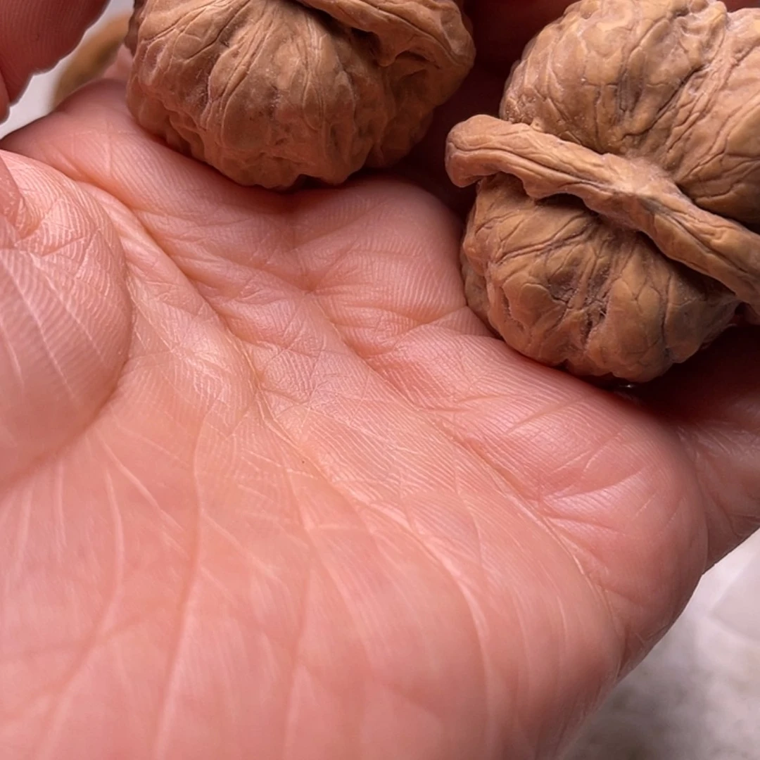 【闪购商品】?****棋Fukhvhjjjbn