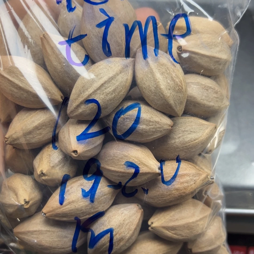 n***e橄榄核手串/手链1.9-2.0+老挝极红油核一斤橄榄核原料