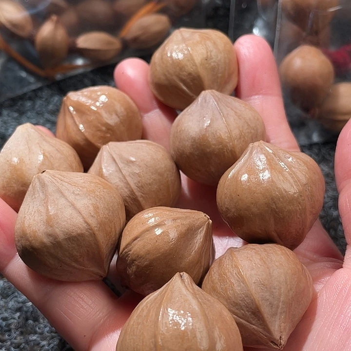 棪***森橄榄核吊坠2.9✖️3.1