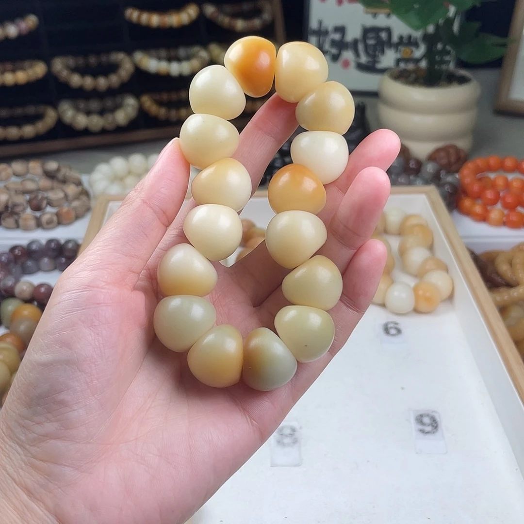 菩提根/象牙果手串干磨蒜瓣大肠瑕疵瑕疵不补介意勿拍