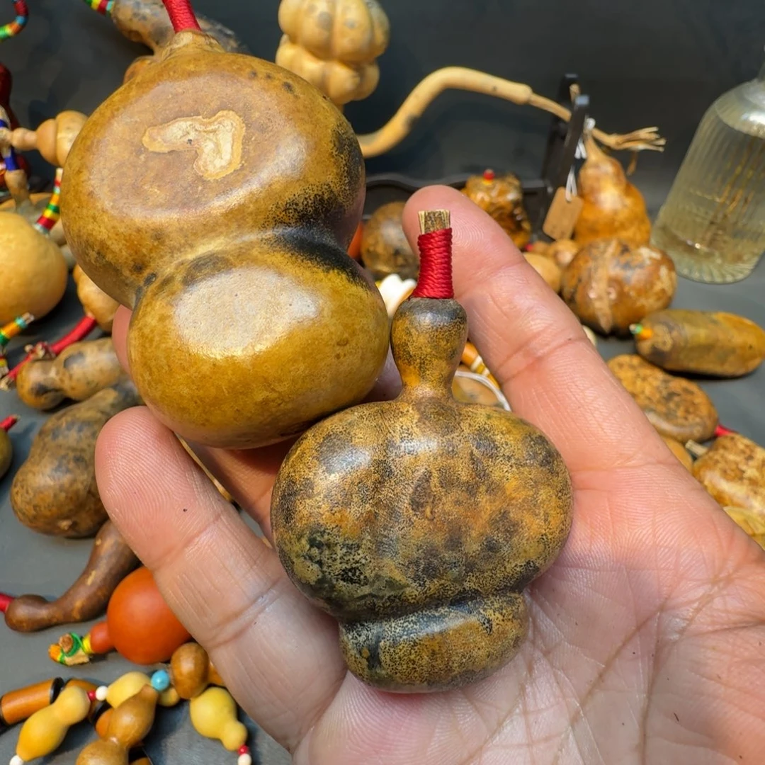 長***楽嘎嘎嘎嘎嘎嘎嘎嘎