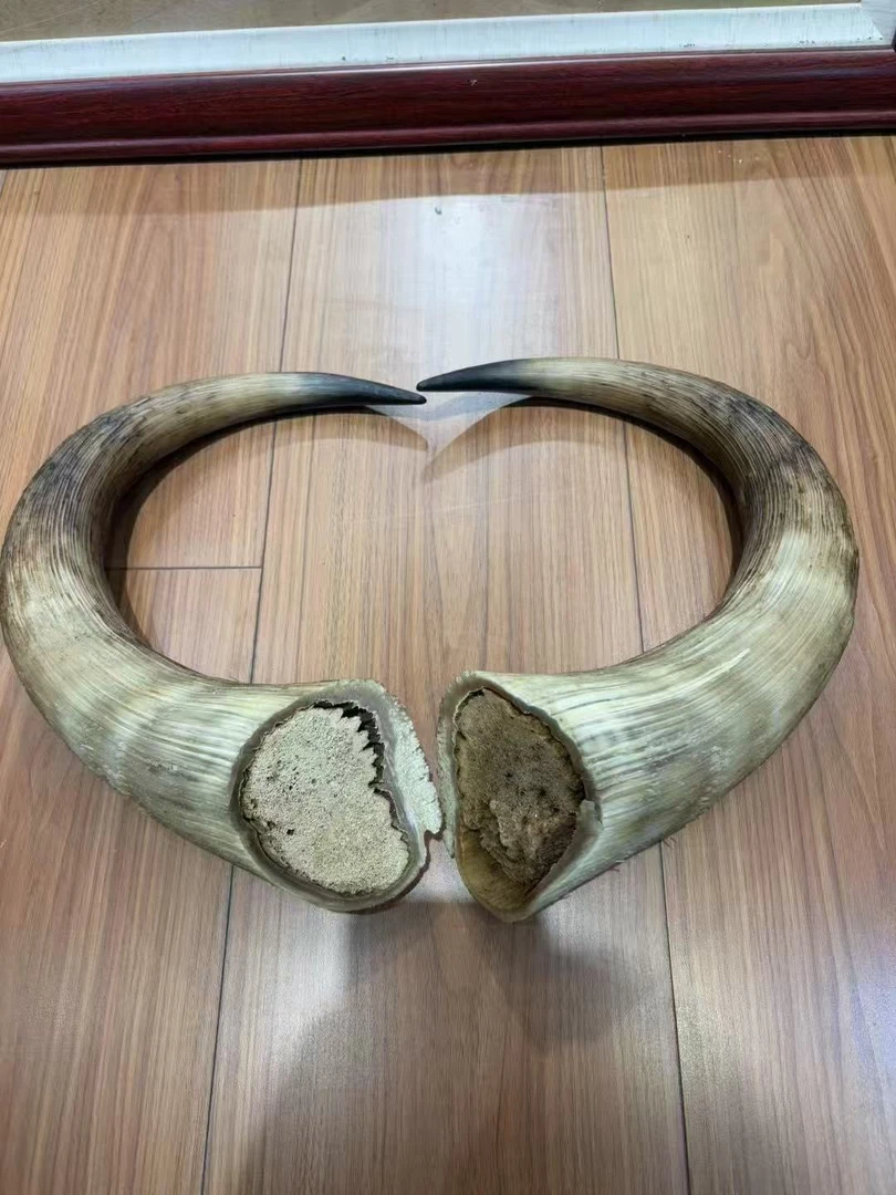 家具牦牛角摆件创意