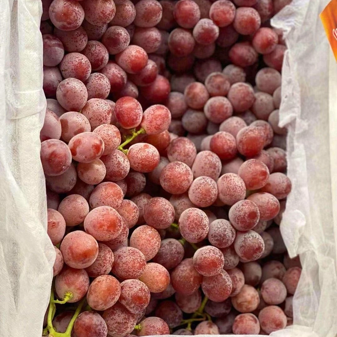 智力无籽红提葡萄一盒g云南省