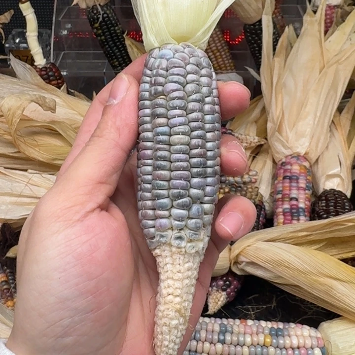 柏香籽/百香籽吊坠是****?