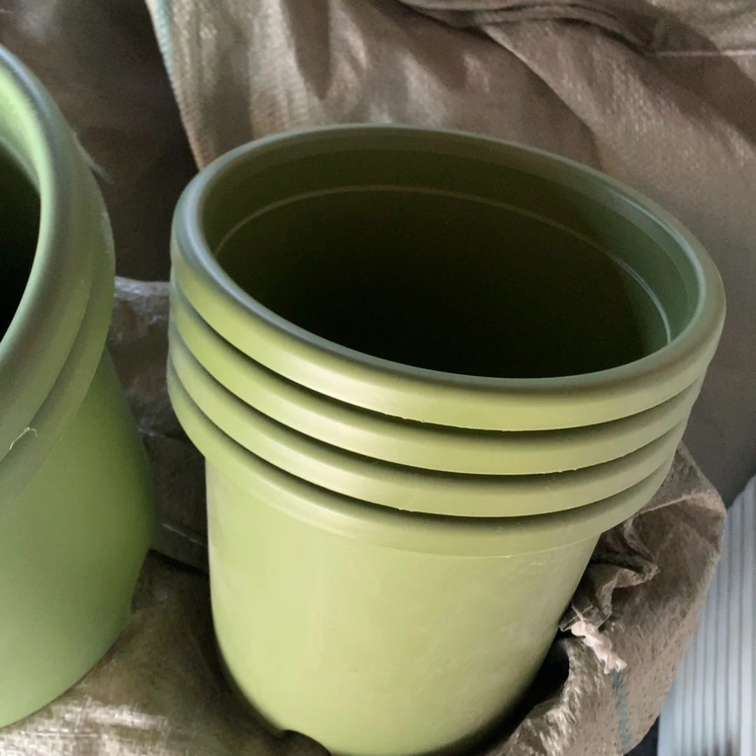 红陶五**卷20个21口果绿无