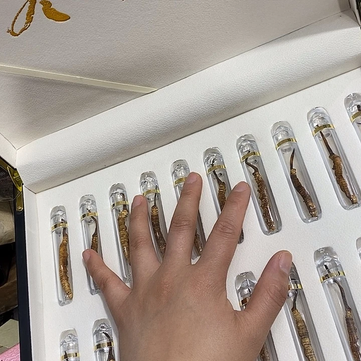 紫砂。。。。。。。。。。。。。。。。。