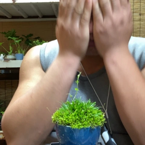 红陶泡****活一物一拍所见即所得泡泡