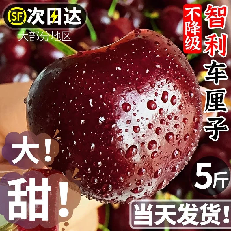 【原箱5斤】智利空运进口桑提娜车厘子应季水果脆甜3-4JD大樱桃2500g顺丰京东（内附果径卡）ZZ桑提娜智利共和国