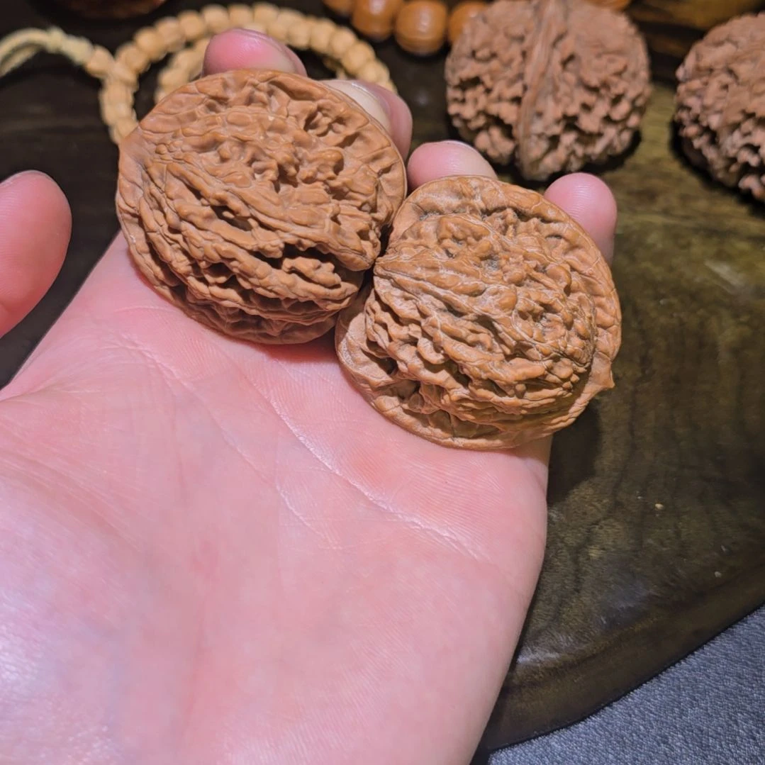 核桃哈哈哈哈哈哈哈哈