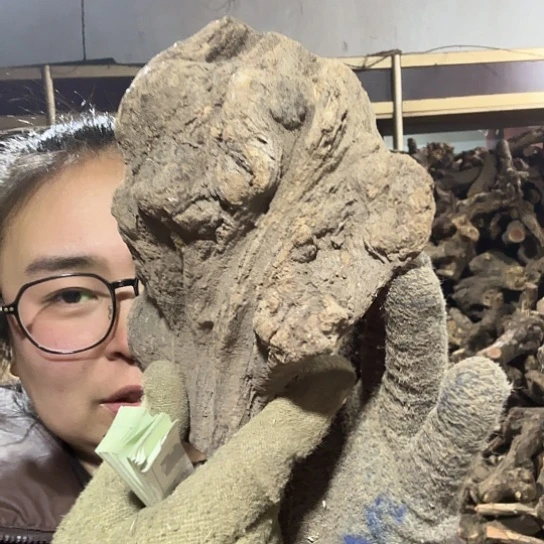 香榧木巢*火琉璃的故事毛料摆件看