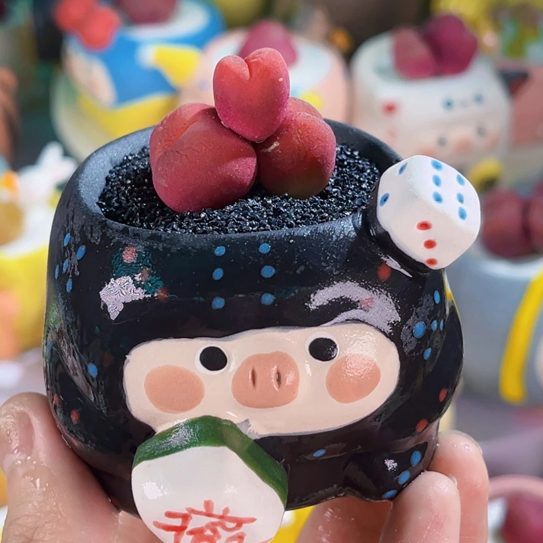 036手工盆三头毛汉尼连盆带土包邮