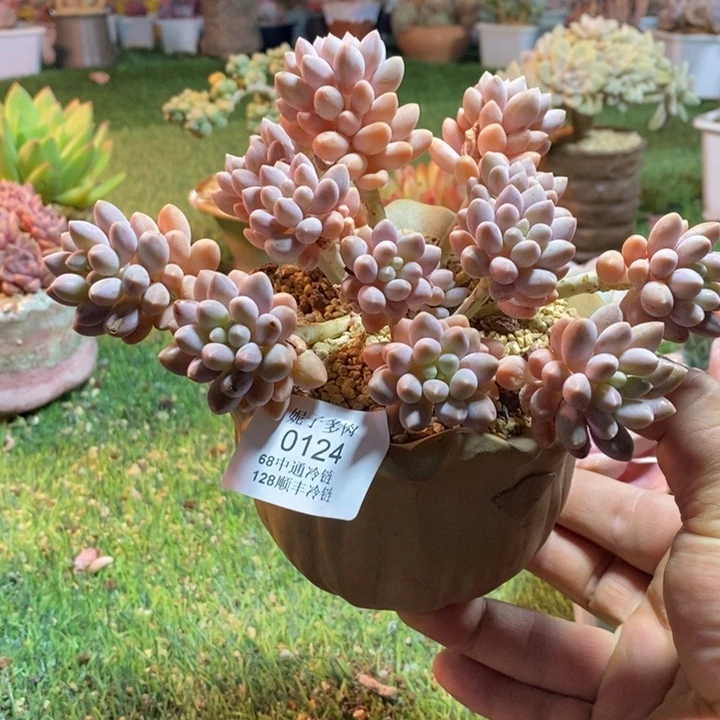 0124啊啊啊啊啊啊啊啊啊啊啊啊