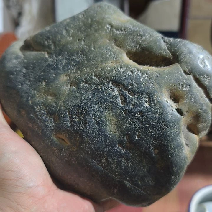 君***n扇子来来来来来来看看咳咳咳