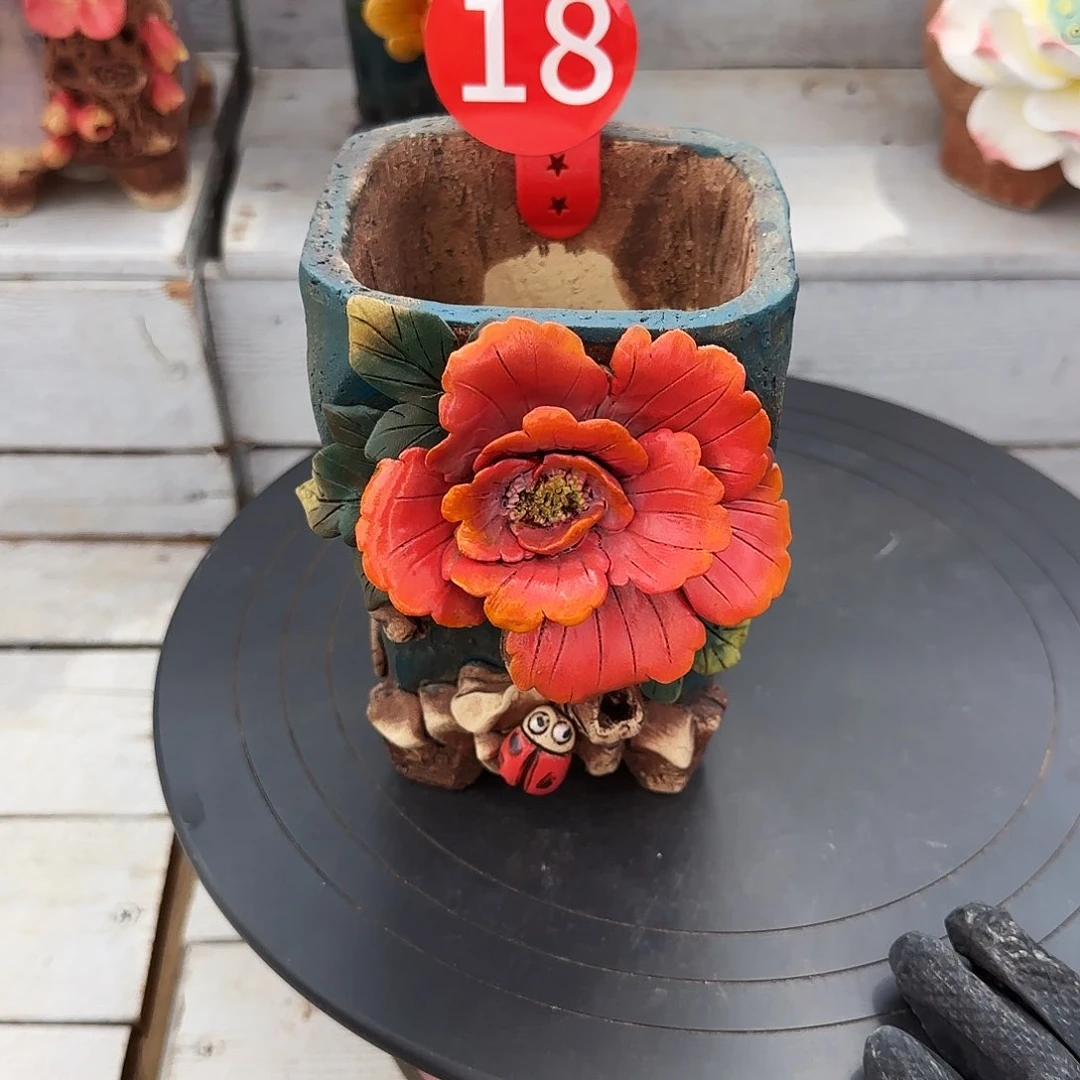 文***318号盆66          盆