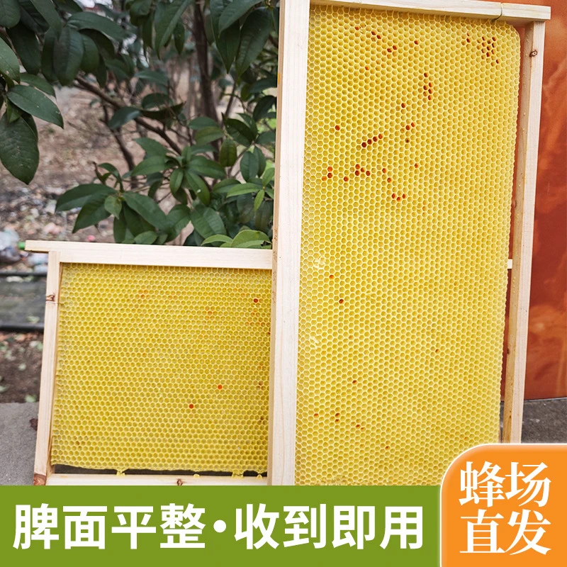 成品蜜蜂新造巢脾巢框巢脾一体发货巢础脾面平整收到即用