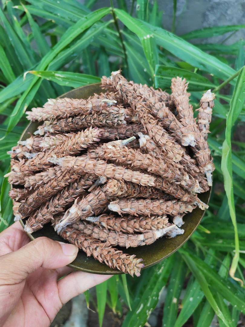 正宗确山夏枯草夏枯球无硫大穗纯花球凉茶散结茶花草茶手工精选新